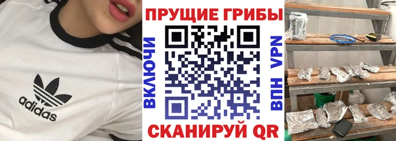 Псилоцибиновые грибы Psilocybine cubensis  купить закладку  мега как зайти  Нижневартовск 