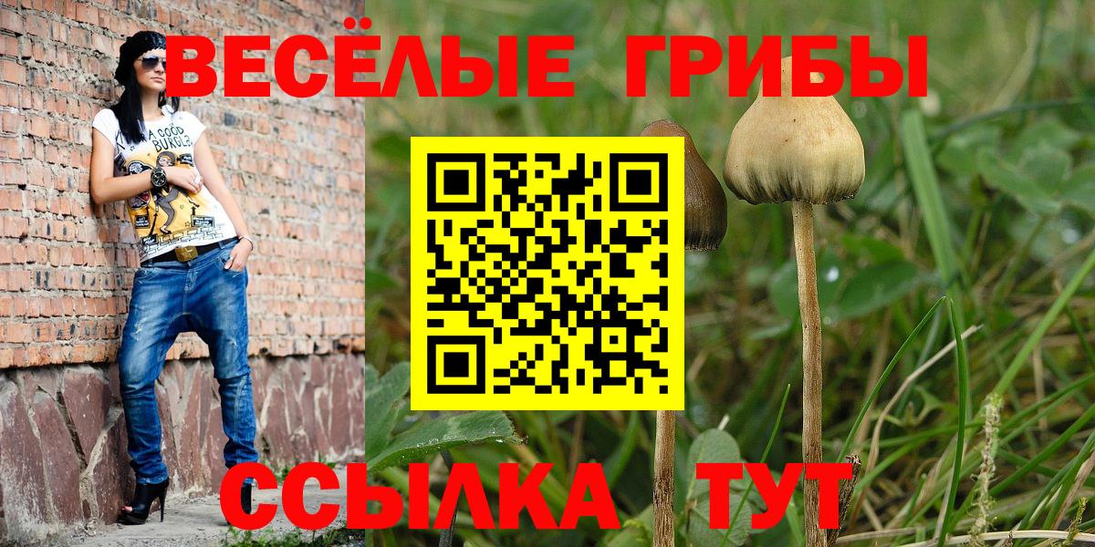 Псилоцибиновые грибы Magic Shrooms Нижневартовск