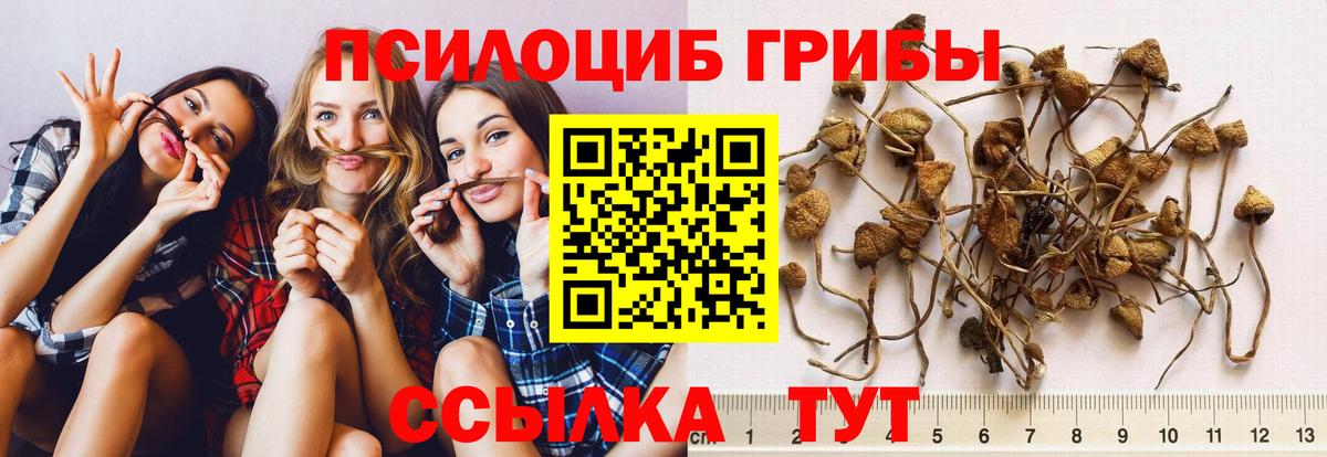 Нижневартовск  Псилоцибиновые грибы MAGIC MUSHROOMS  Вход с VPN 